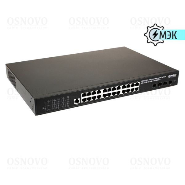 SW-24G4X-1L-I